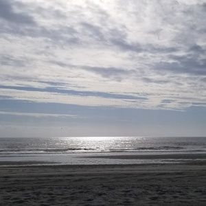 Meet your Posher, Pat